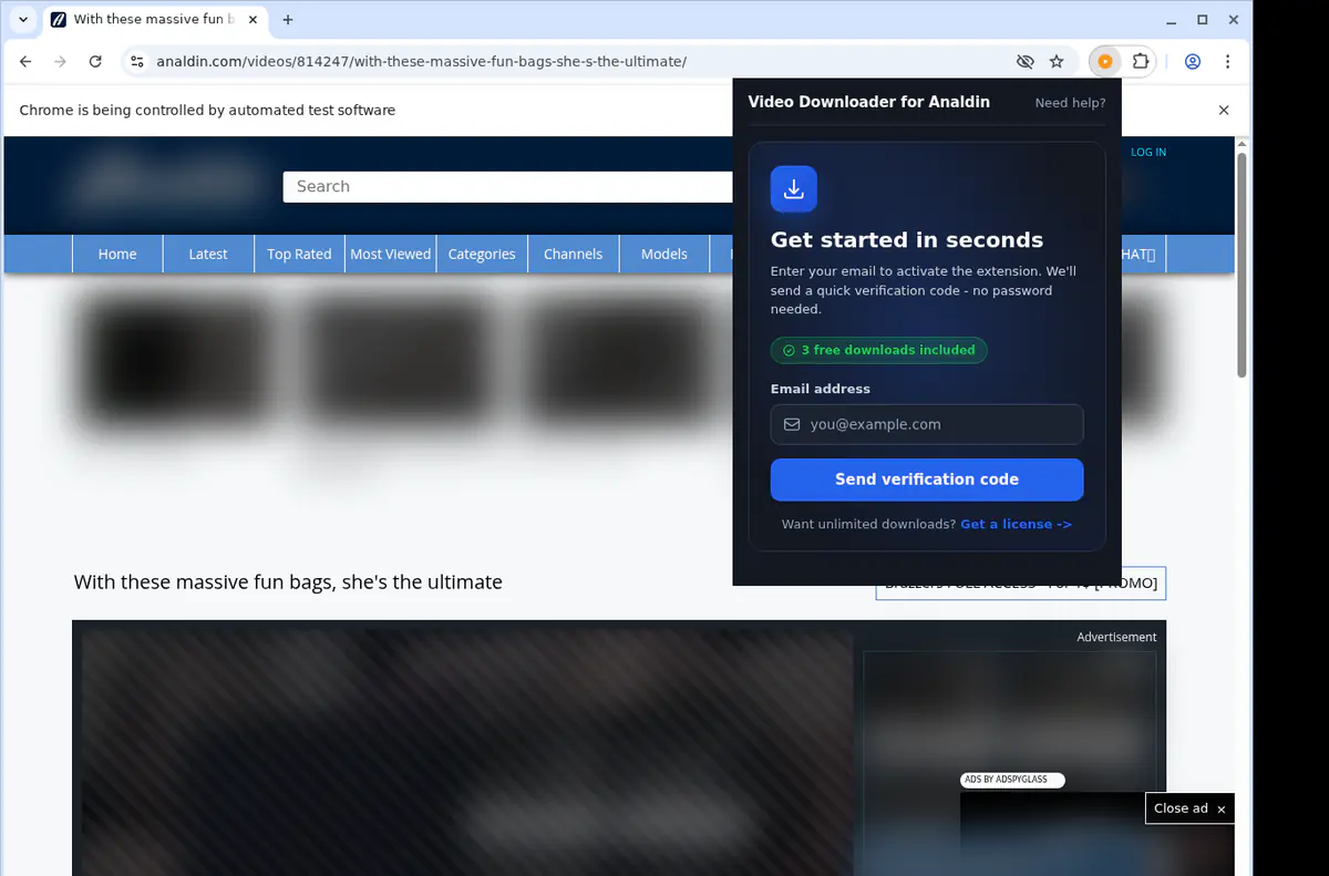 Analdin Video Downloader browser extension screenshot 4